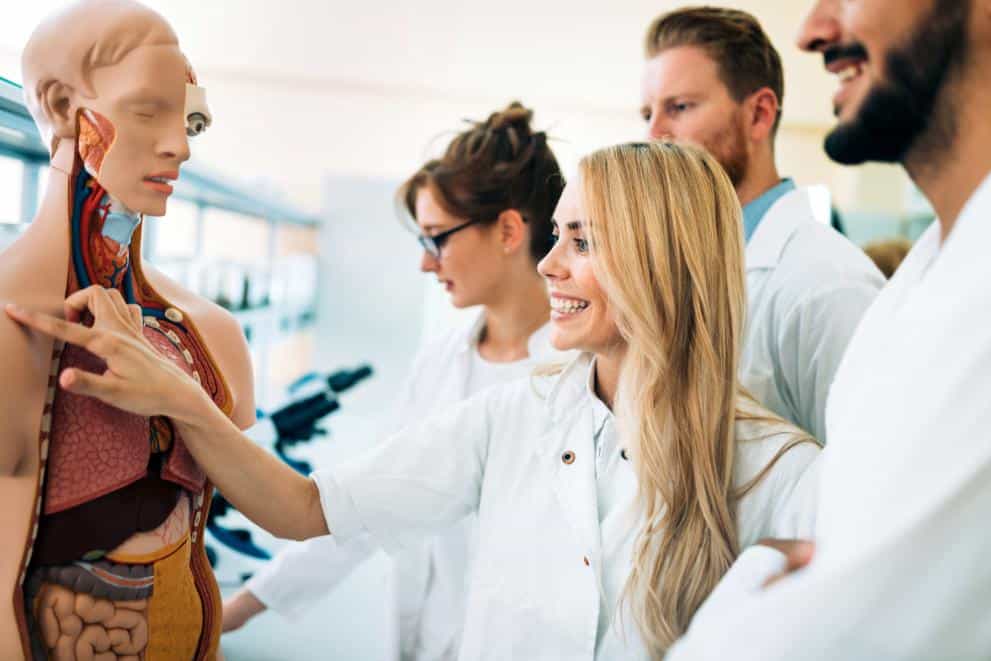 Best <span class="lora-font italic text-brown">Medicine</span> Summer Schools 2026