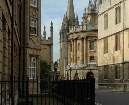 Biomedical Engineering (The Oxford Tradition)