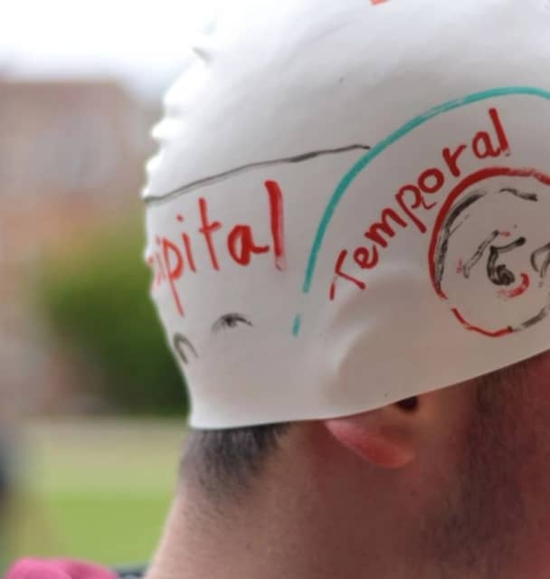 Experimental Psychology (Cambridge)