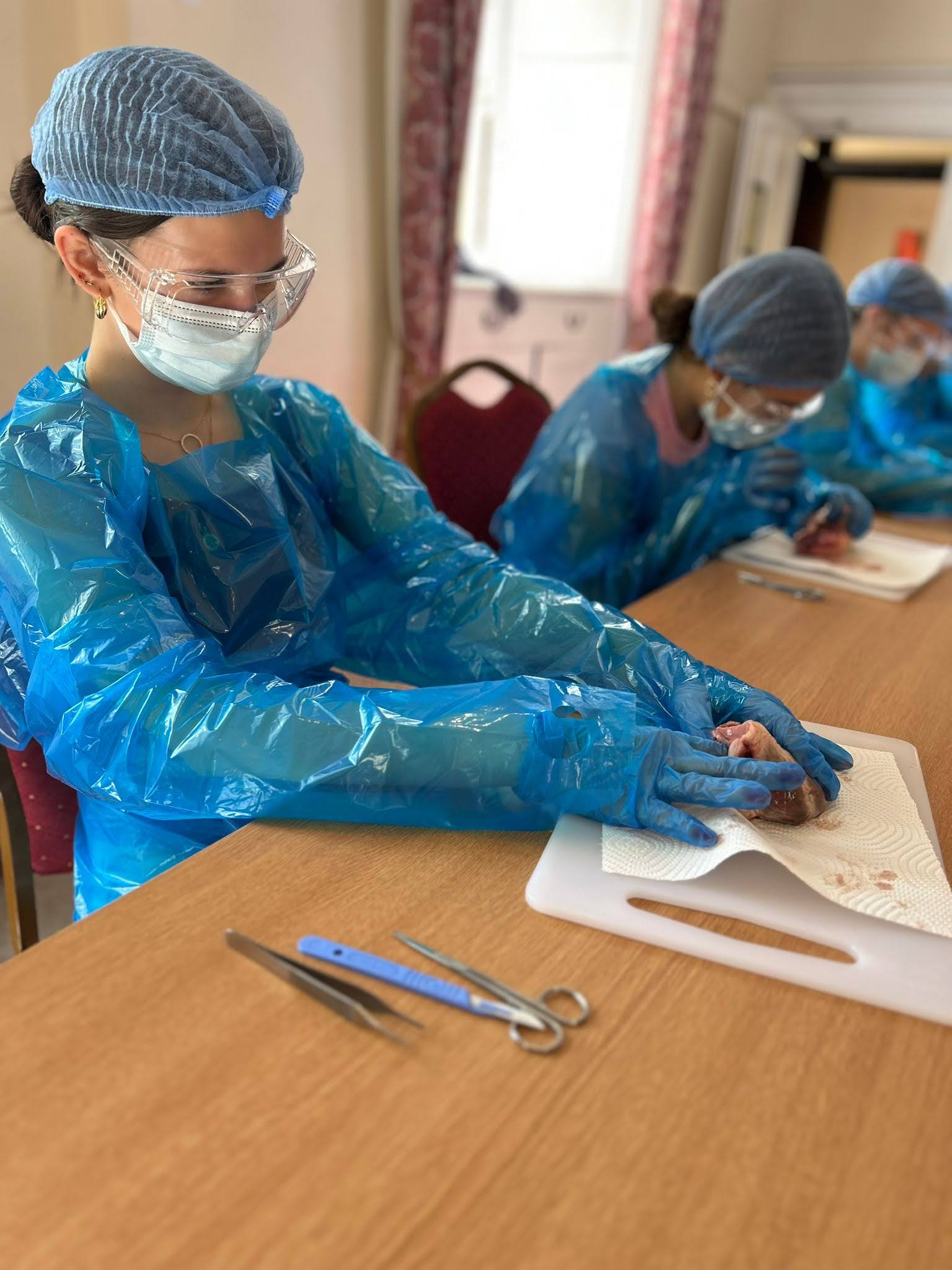 Medicine (The Oxford Experience)